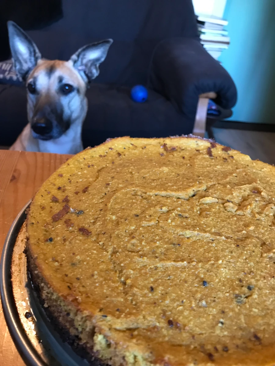 Recept: Pompoen Taart (met Bonus!)